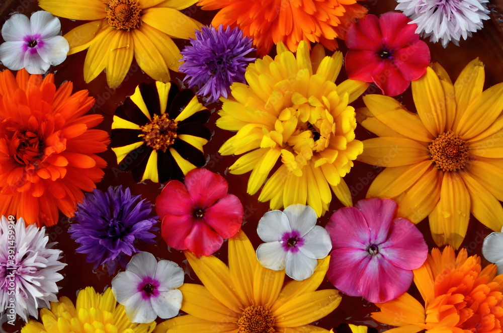 Multicolored flower mandala on floating on water plate made of fresh flowers. Floral background with nature flowers. Flower mosaic Multicolored flower mandala on floating on water plate made of fresh flowers. Floral background with nature flowers. Flower mosaic