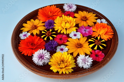 Multicolored flower mandala on floating on water plate made of fresh flowers. Floral background with nature flowers. Flower mosaic