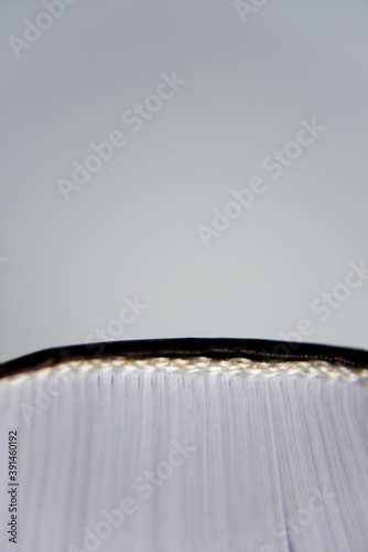 old books, macro view from the bottom