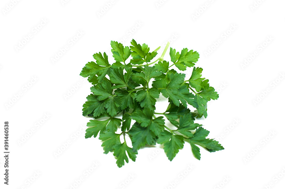 Parsley isolated on white background
