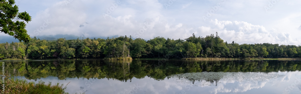 Panoramic view of forest reflecting in one of Shiretoko Five Lakes