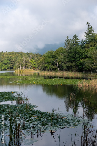 View of forest reflecting in one of Shiretoko Five Lakes