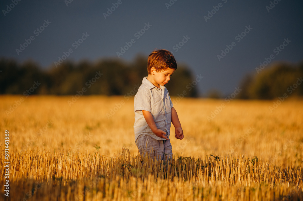 Emotional little adorable boy playing in the field in the warm rays of the setting sun in the summer. Emotional little adorable boy playing in the field in the warm rays of the setting sun in the summer.