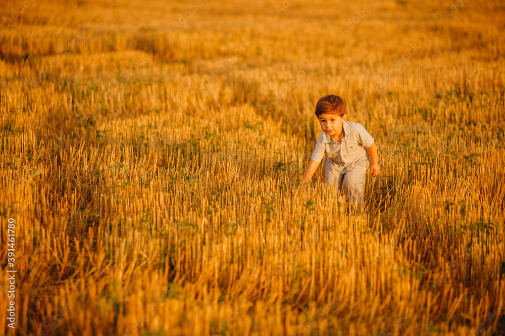 Emotional little adorable boy playing in the field in the warm rays of the setting sun in the summer. Emotional little adorable boy playing in the field in the warm rays of the setting sun in the summer.