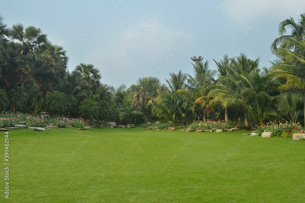 Green grass field, flowers, bushes and fresh trees over blue sky with white clouds, Landscape natural background