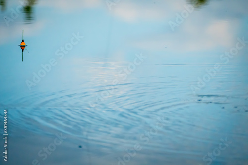 Blue sky reflected on the surface of a forest lake