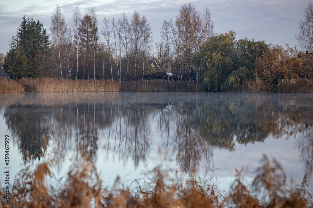 Picture of a slightly misty lake and autumn trees almost without leaves in morning November Latvia Picture of a slightly misty lake and autumn trees almost without leaves in morning November Latvia