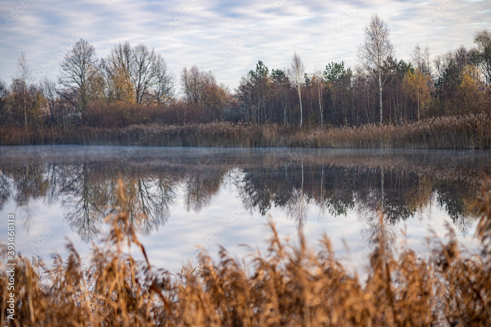 Picture of a slightly misty lake and autumn trees almost without leaves in morning  November  Latvia