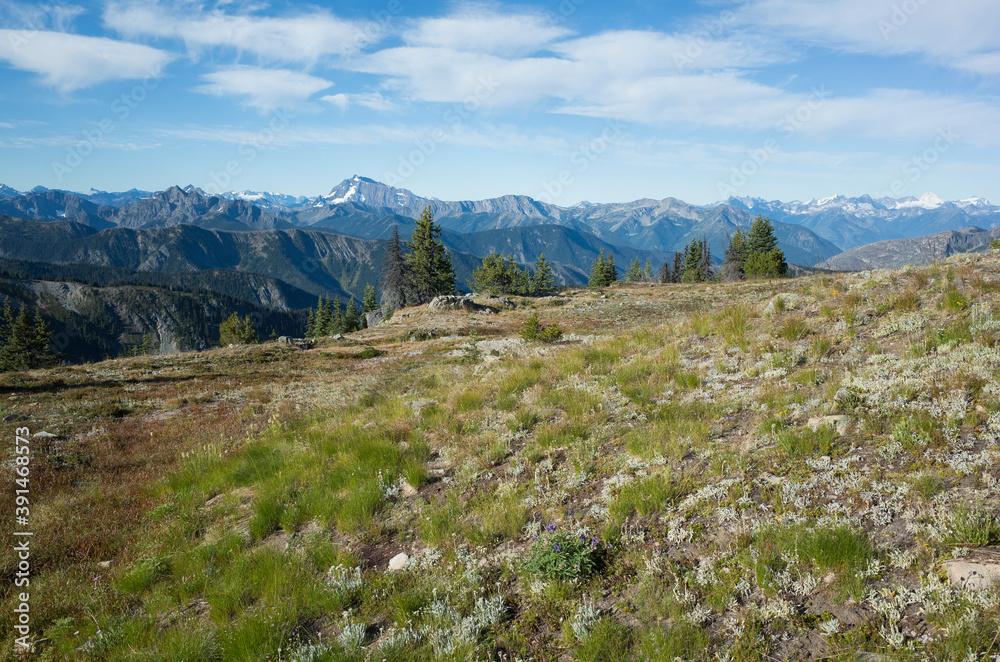 The North Cascade Range, view from the Pacific Crest Trail The North Cascade Range, view from the Pacific Crest Trail