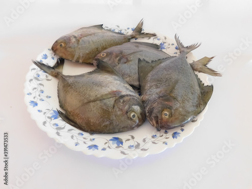 delicious Kerala fish (Avoli) in a plate isolated on white background photo