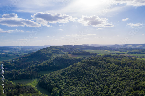 Panorama over a green forest in Germany