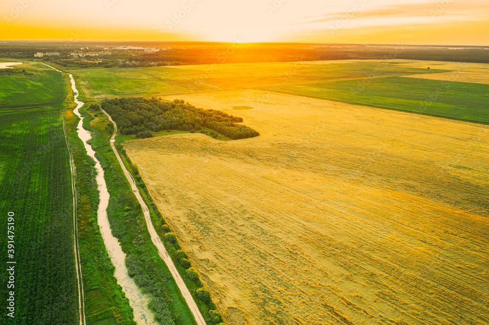 Obraz premium Aerial View Of Countryside Road Through Summer Rural Field. Road Between Corn Maize Plantation And Wheat. Landscape During Sunset
