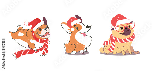 Funny dogs at Christmas. Illustration of pug  bulldog and corgi wearing santa claus hats. New Year s dogs in cartoon style isolated on white background. Vector.