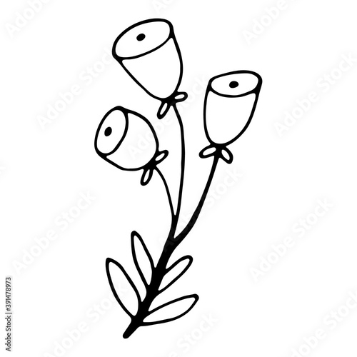 Floral hand drawn doodle icon for social media story