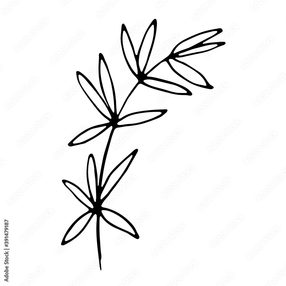 Floral hand drawn doodle icon for social media story Floral hand drawn doodle icon for social media story