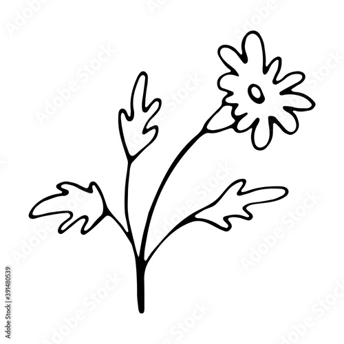 Floral hand drawn doodle icon for social media story