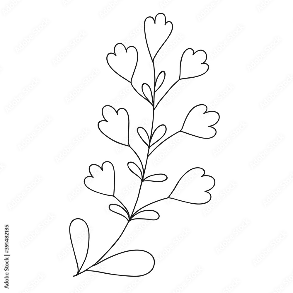 Hand drawn wedding herb, plant Hand drawn wedding herb, plant