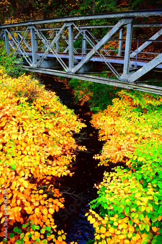 herbstliches Brohltal im Oktober photo