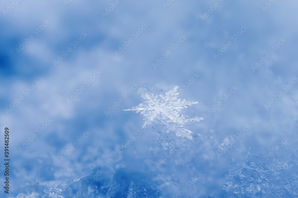 Snowflakes close-up. Macro photo. The concept of winter, cold, beauty of nature. Copy space.