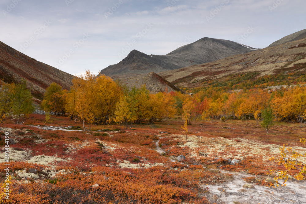 Autumn in Dørålen, Rondane, Norway. Autumn in Dørålen, Rondane, Norway.