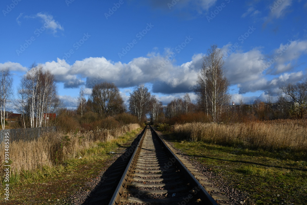 A narrow-gauge railway close-up extending into the distance. Bare trees along the railway A narrow-gauge railway close-up extending into the distance. Bare trees along the railway