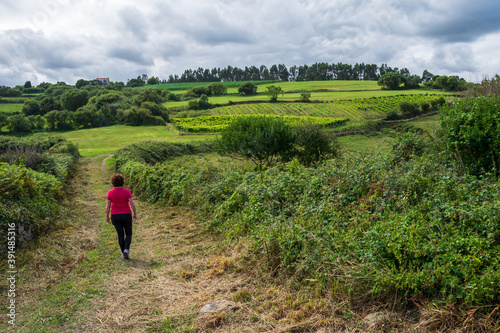 Wide shot of woman from behind with sportswear  walking on a path in the green field  a sunny day  horizontal