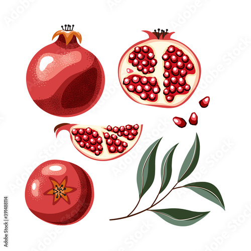 Pomegranate vector set. Whole, halves, leaves and grains isolated on a white background. Juicy red fruit. Shadow texture, cartoon style.