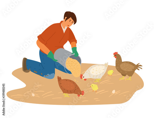 Woman Farmer Working Feeds Chicken With Gtains. Flat Vector Illustration.