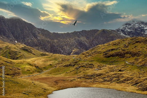 Beautiful scenery. Snowdonia National Park. An eagle flying over the mountains