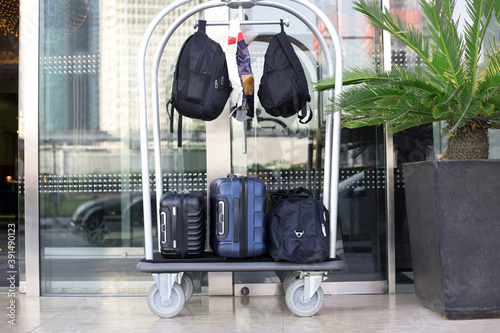 Canvastavla Luggage cart with suitcases, bags and backpacks stands near a green palm tree at the entrance