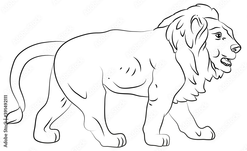 Obraz premium Animals. Black and white image of a large lion, coloring book for children.