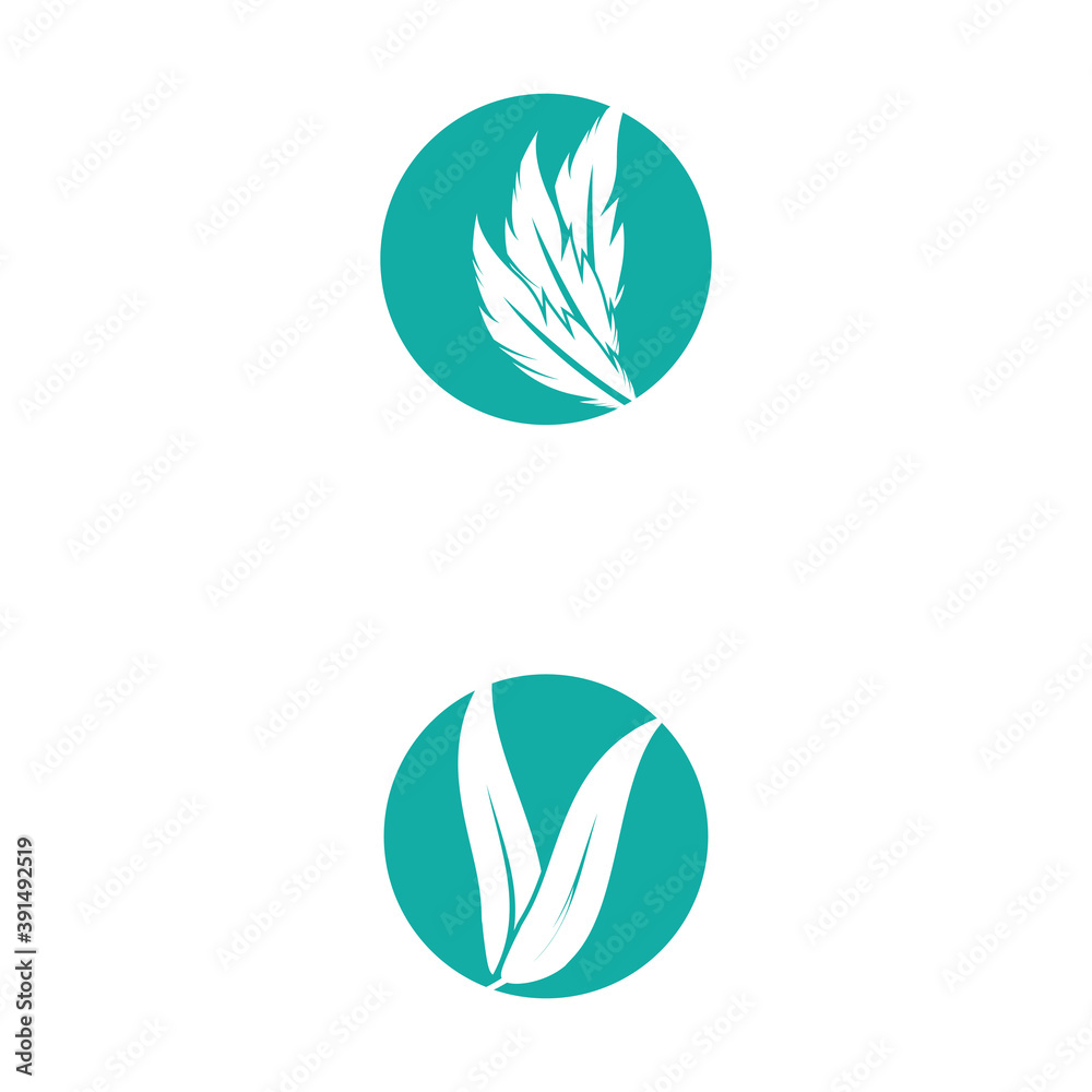 Feathers Logo Template vector symbol Feathers Logo Template vector symbol