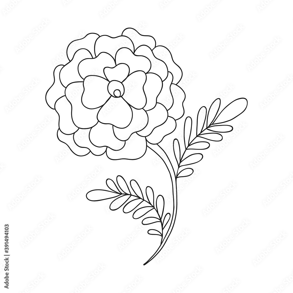 Rose flower outline icon Rose flower outline icon