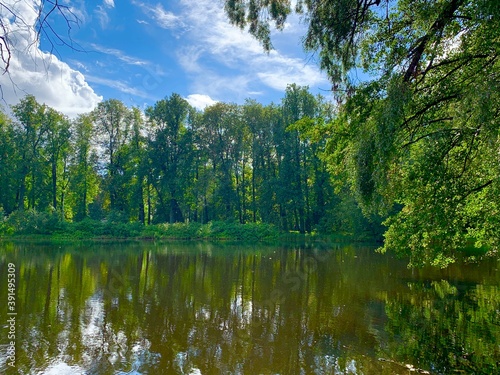 lake in the forest