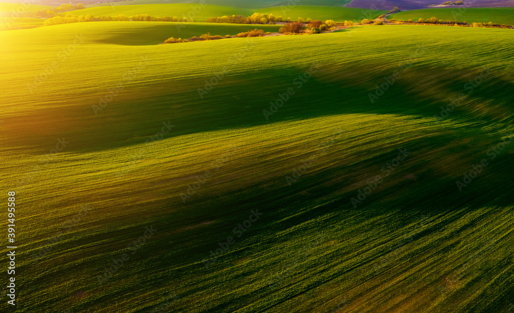 Aerial photography of green wavy field with shadows from sunlight in the evening.