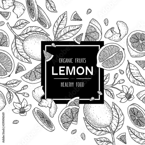Vector hand drawn background with organic whole lemon, slices pieces, half, flower and leaves.
