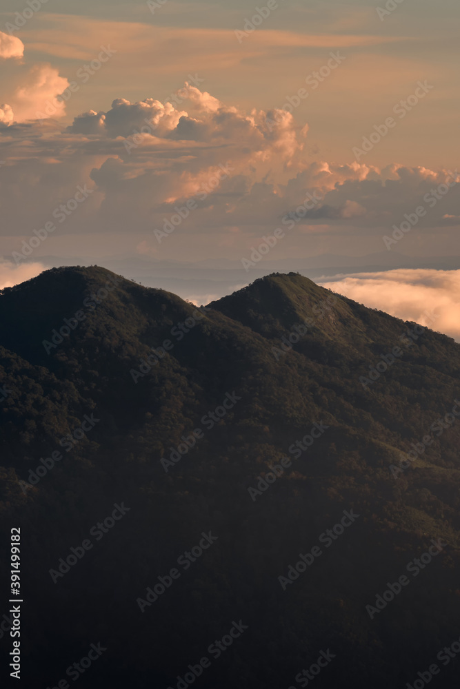 Fog over the Doi Inthanon mountain, Chiang Mai Thailand. The highest peak of Thailand