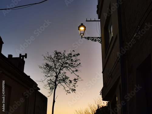 Vecchio lampione in ferro battuto e sagoma di albero in un tramonto purpureo photo