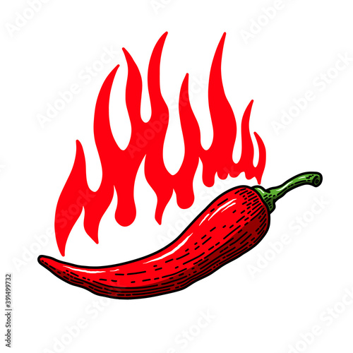 Set of illustrations of chilli peppers with flame of fire in engraving style. Design element for emblem, sign, poster, card, banner, flyer. Vector illustration