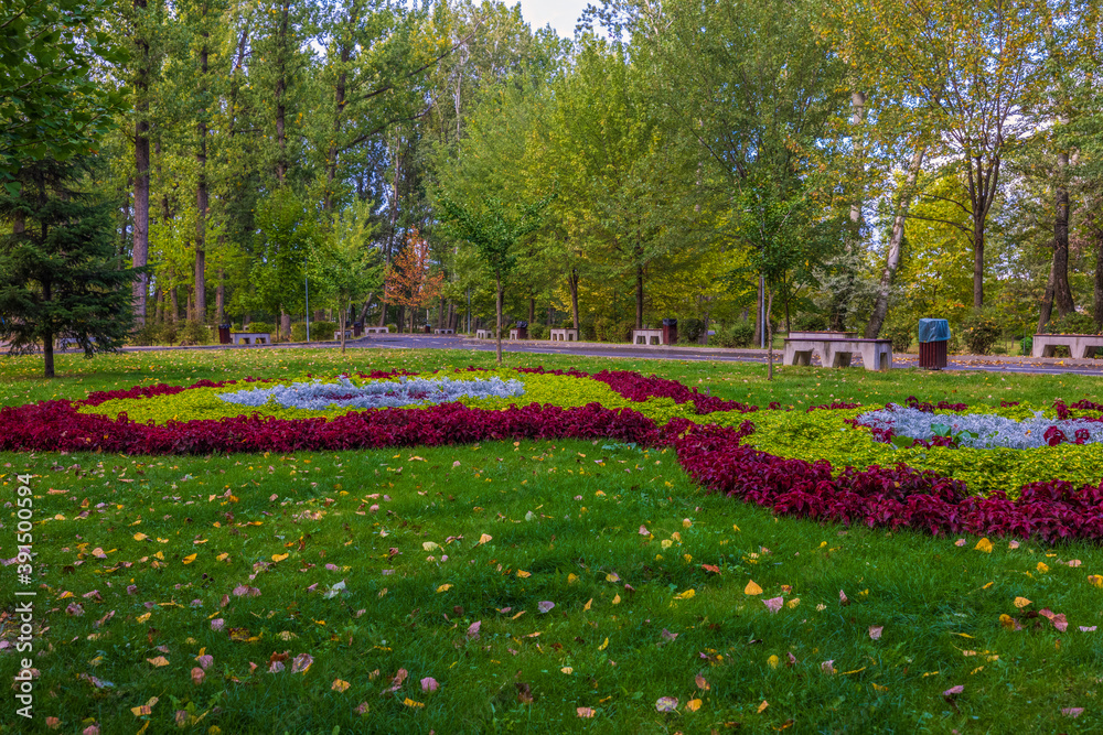 Obraz premium a beautiful autumn landscape in the park on an October day