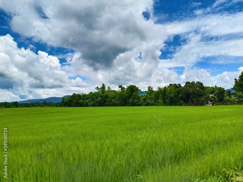 Dramatic blue sky with green fields in the countryside © Victoria Rosey