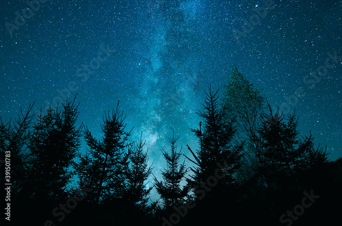 Low angle shot of a beautiful blue starry sky over trees