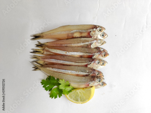 Fresh Anchovy fisesh decorated with Lemon slice and herbs. photo