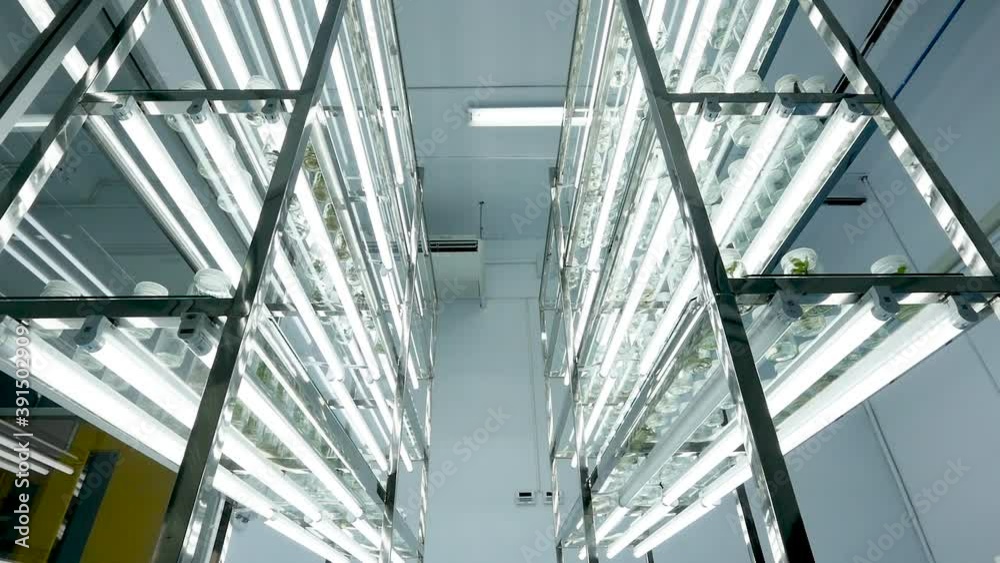 Tissue culture Using new technology Protect the environment Tissue culture Using new technology Protect the environment