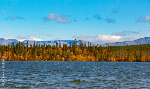 Mixed forest with colorful foliage on Imandra Lake near the Khibiny mountains. Autumn landscape, Kola Peninsula, Russia.
