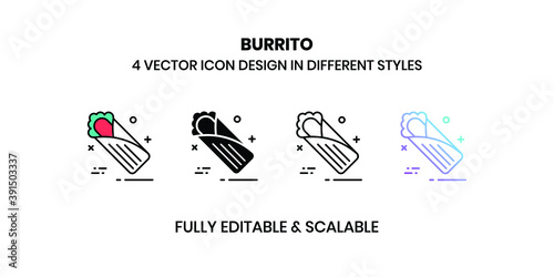 Burrito vector illustration icons in different styles