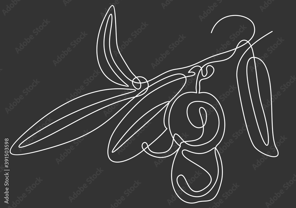 Fototapeta premium Line icon olives -Continuous one line drawing