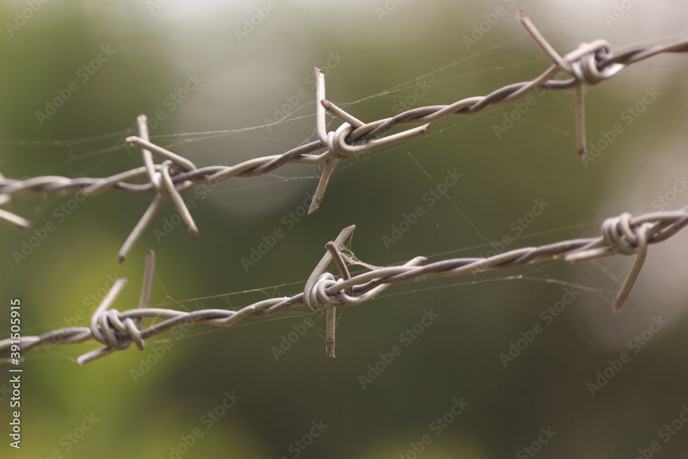 Barbed wire close up with green blurred background Barbed wire close up with green blurred background
