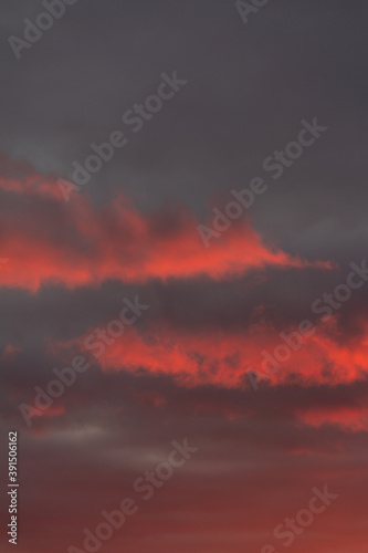 Wonderful November sunset with bright red-pink clouds on a dark gray-blue sky © Регина Шарипова