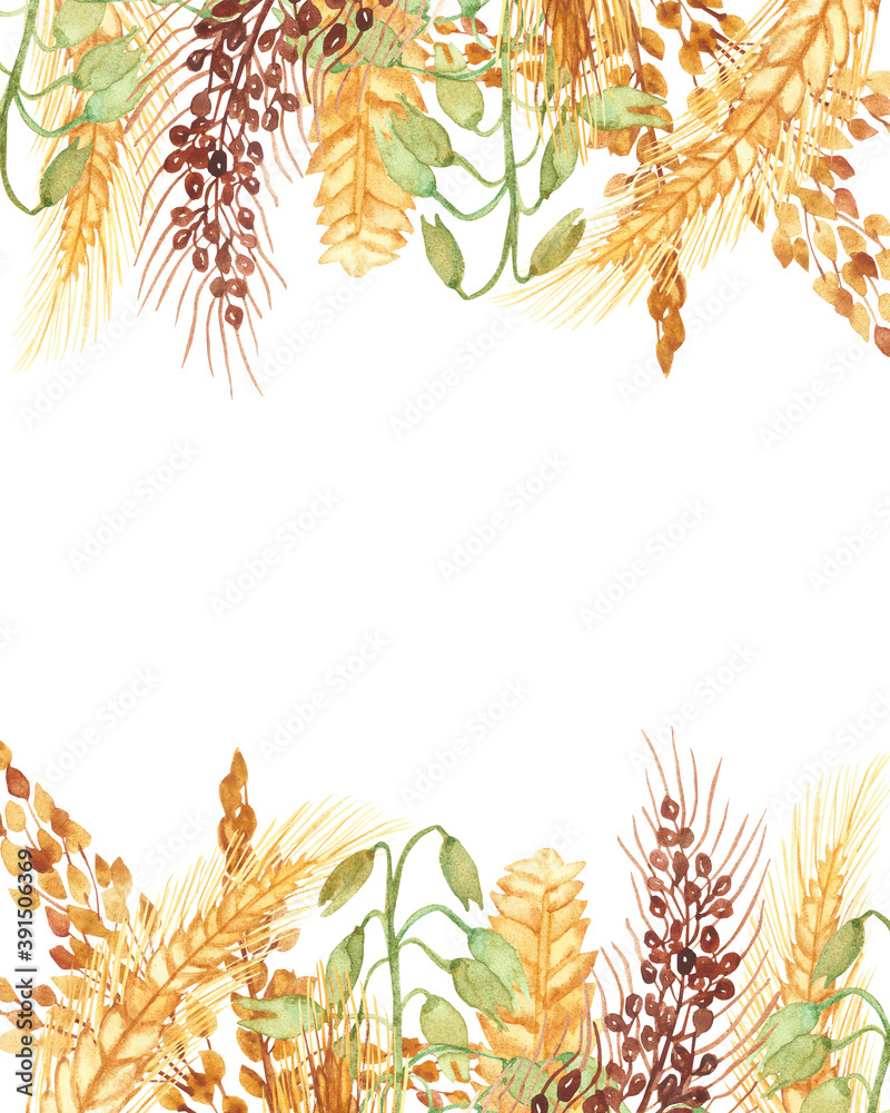 Watercolor hand painted nature grain field banner frame with golden rye ear, green and brown cereal branches and orange leaves bouquet on the white background for invite and greeting card Watercolor hand painted nature grain field banner frame with golden rye ear, green and brown cereal branches and orange leaves bouquet on the white background for invite and greeting card